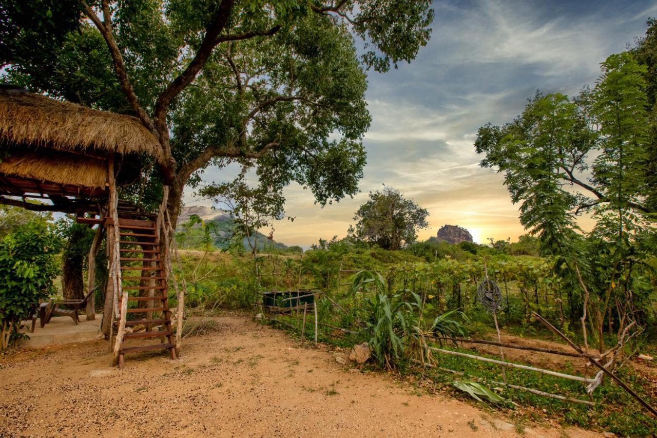 Sigiriya King'S Resort Exteriér fotografie