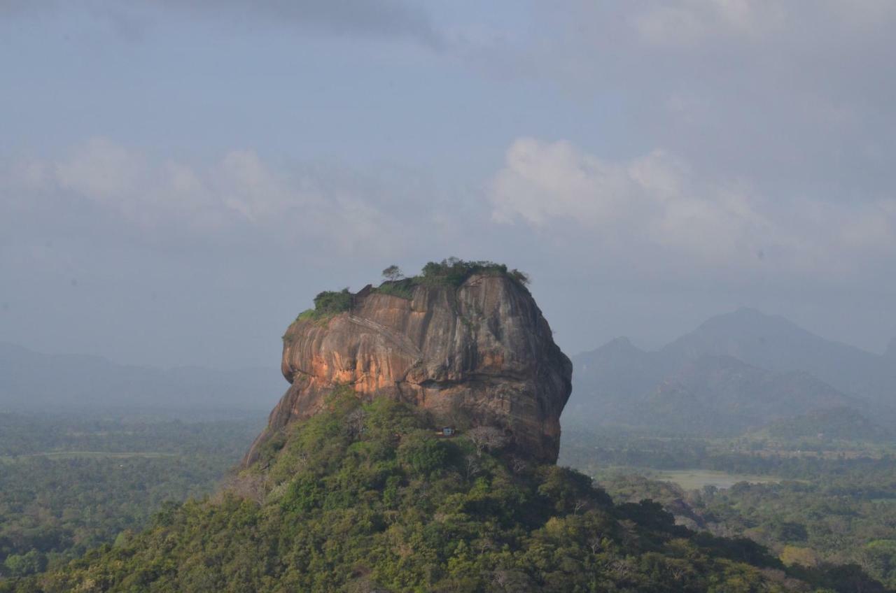 Sigiriya King'S Resort Exteriér fotografie