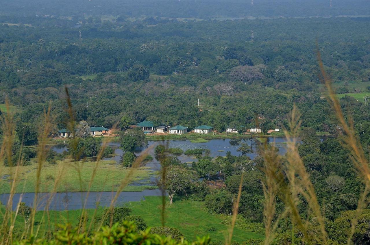 Sigiriya King'S Resort Exteriér fotografie