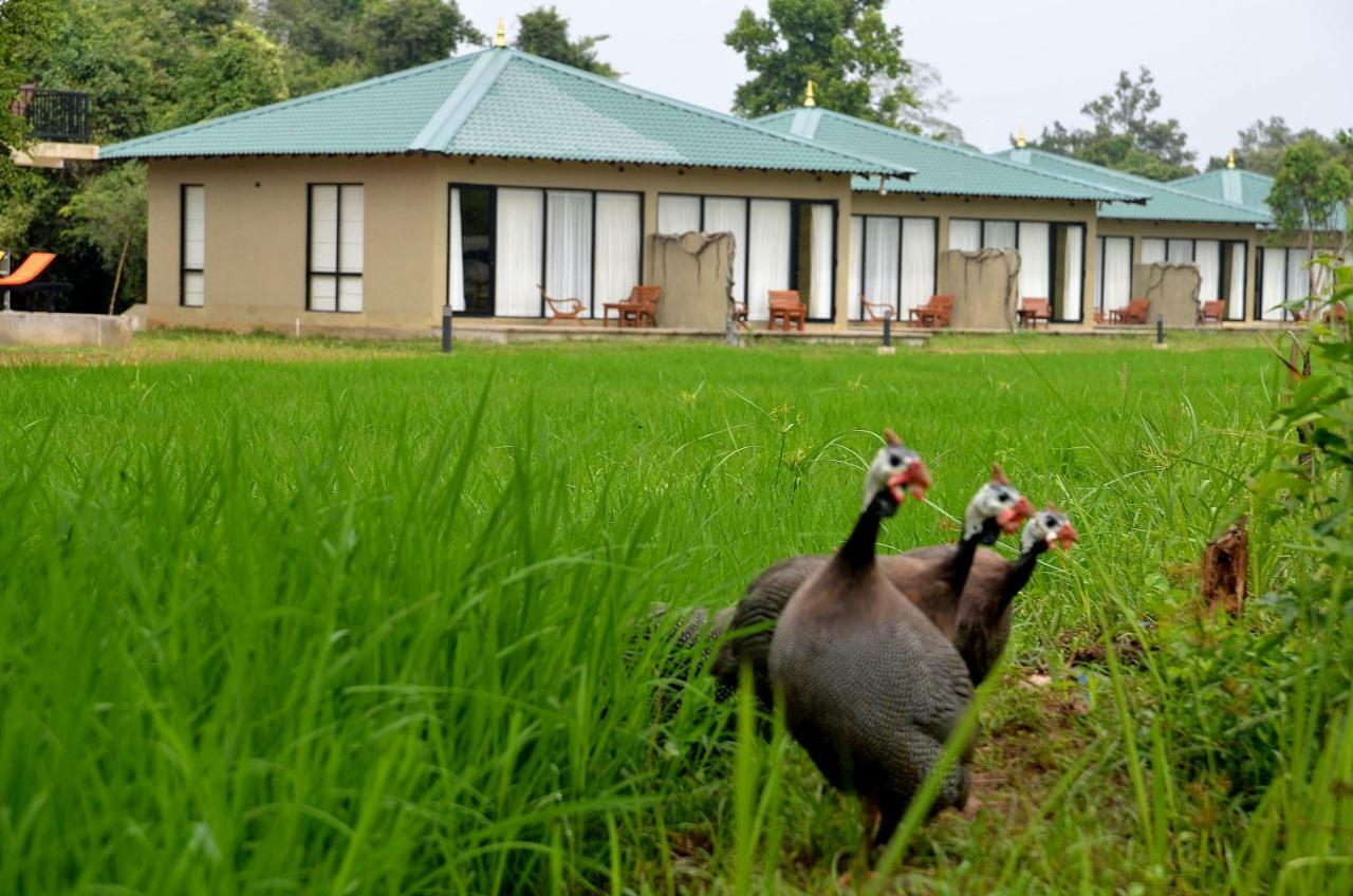 Sigiriya King'S Resort Exteriér fotografie