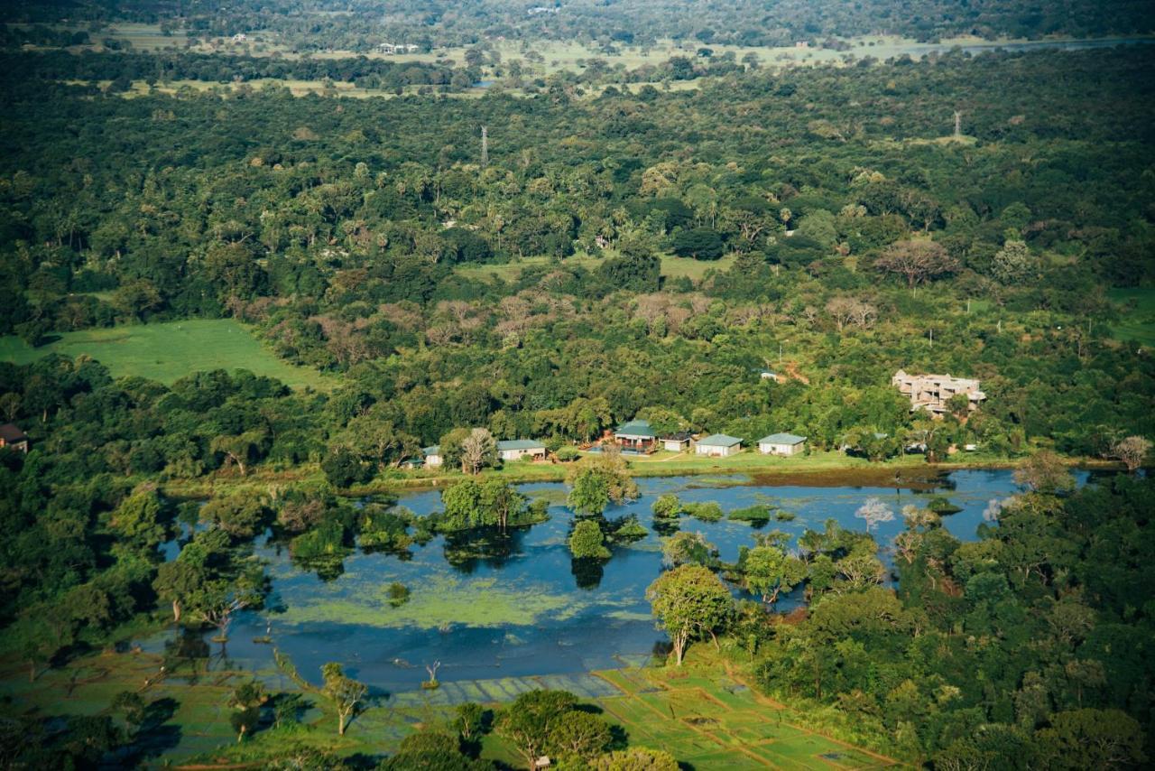 Sigiriya King'S Resort Exteriér fotografie