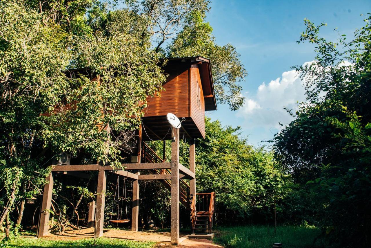 Sigiriya King'S Resort Exteriér fotografie