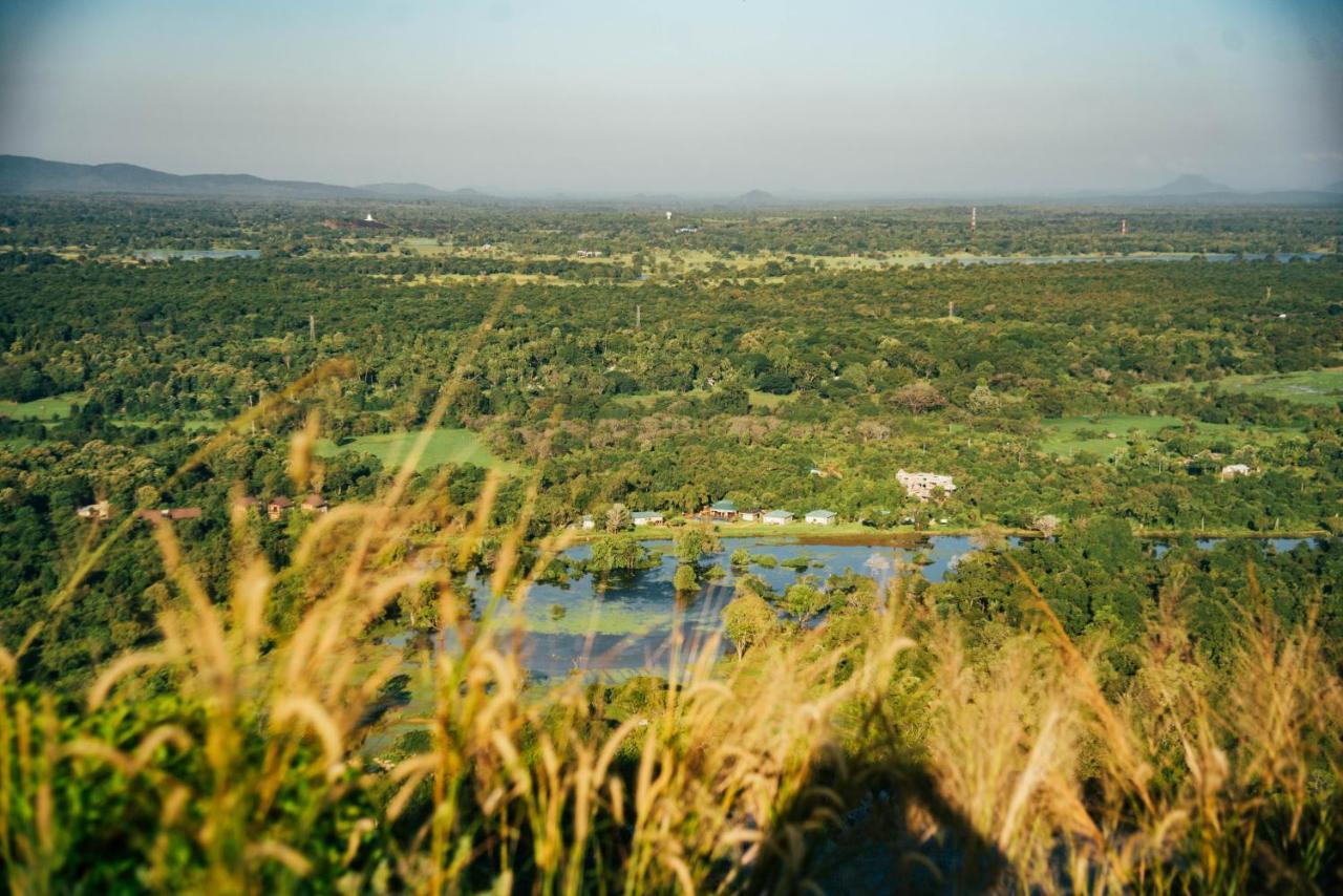 Sigiriya King'S Resort Exteriér fotografie